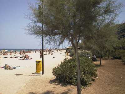 Tutto inizi� con i Giochi del Mediterraneo del 1997. Pane e Pomodoro fu infatti scelta come punto di arrivo per le gare di canottaggio. Per l�evento fu dragato il fondale marittimo e si provvide ad aggiungere della sabbia di riporto